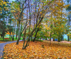 AUTUMN PARK