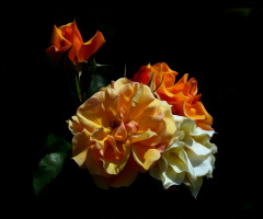 BLÜTEN