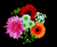 BLÜTEN