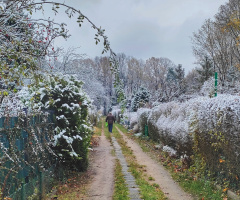 THE FIRST SNOW