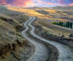 YoL