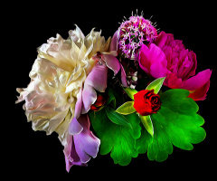 BLÜTEN