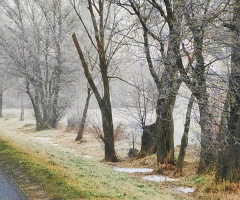 ROADSIDE
