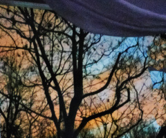EARLY MORNING