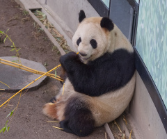 Zoo - København 2023.