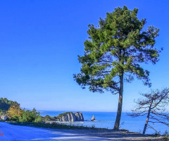 DOĞADAN