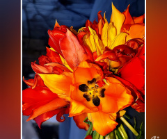 گلدستہ، Bouquet ⚜