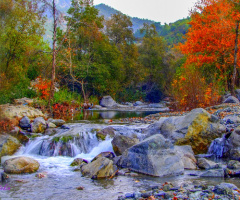 DOĞADAN