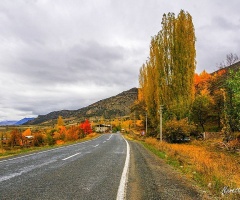 YOL