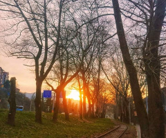 Tren Yolu