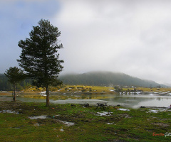 DOĞADAN