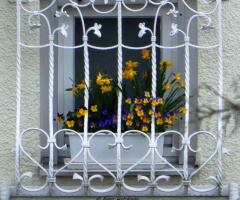 in the neighborhood