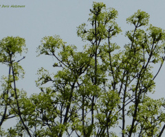 spring, Karlsruhe / Germany 