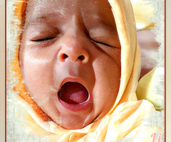 دانین،Yawn is contagious ❤️⚜❤️