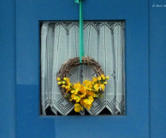 Flower window