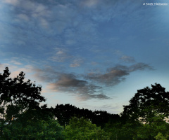 Evening, Karlsruhe / Germany 