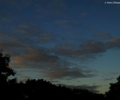 Sunset , Karlsruhe / Germany