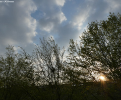 In the evening, Karlsruhe / Germany 