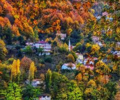 Cennetin Yansıması