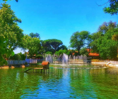 Yıldız Parkı