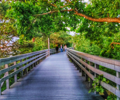 PROMENADE