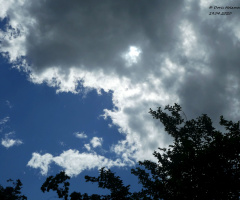 Weather
