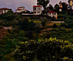 Manzara 