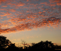 Sunrise , Karlsruhe / Germany 