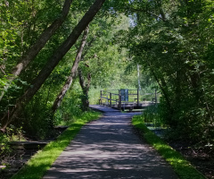 At Nybro - Lyngby - Denmark - July  2024.