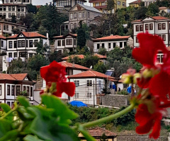 Manzara