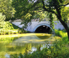 AT THE POND