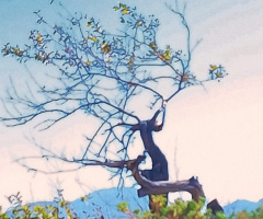 BEAUTIFUL TREE 