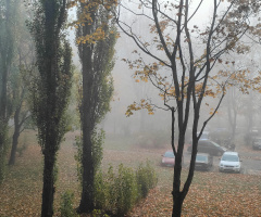 MISTY AUTUMN MORNING