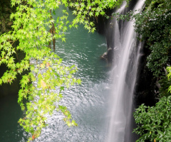 Falls