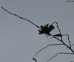 November 