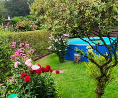 MEMORY OF THE AUTUMN GARDEN
