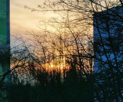 JANUARY'S SUNSET IN THE TOWN