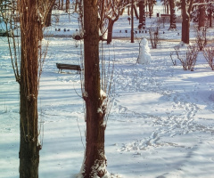 WINTER PARK