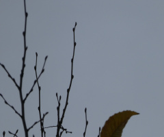 alone