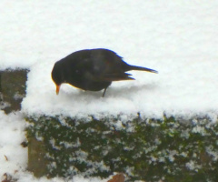one year ago (Karlsruhe / Germany)