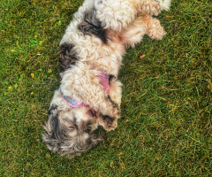 SO TIRED