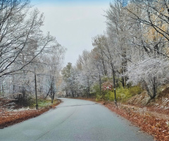 WHITE AUTUMN