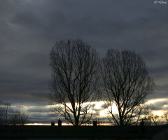 in the morning