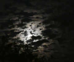 In the evening, Karlsruhe / Germany 