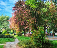 MY NEIGHBORHOOD 