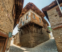“Yaşamlar “
