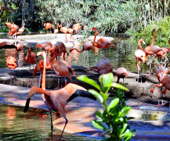 barcelona zoo...