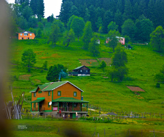 Manzara 