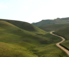 DOĞA