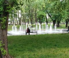 IN THE PARK